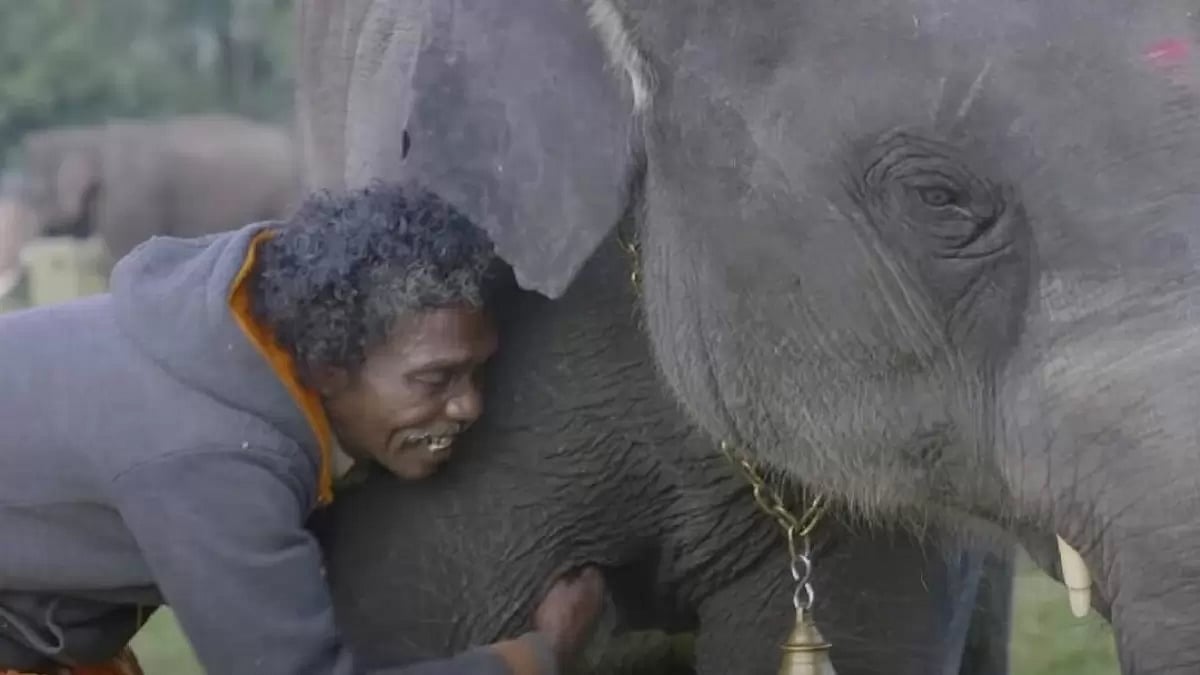 A Still From The Elephant Whisperers