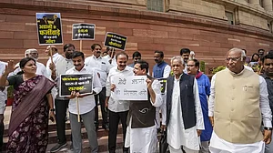 Opposition MPs protest at Parliament
