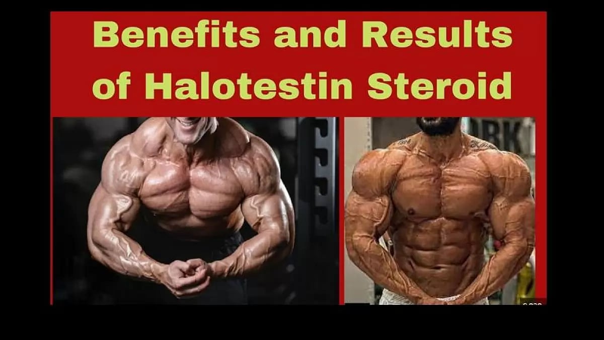 Halotestin Review