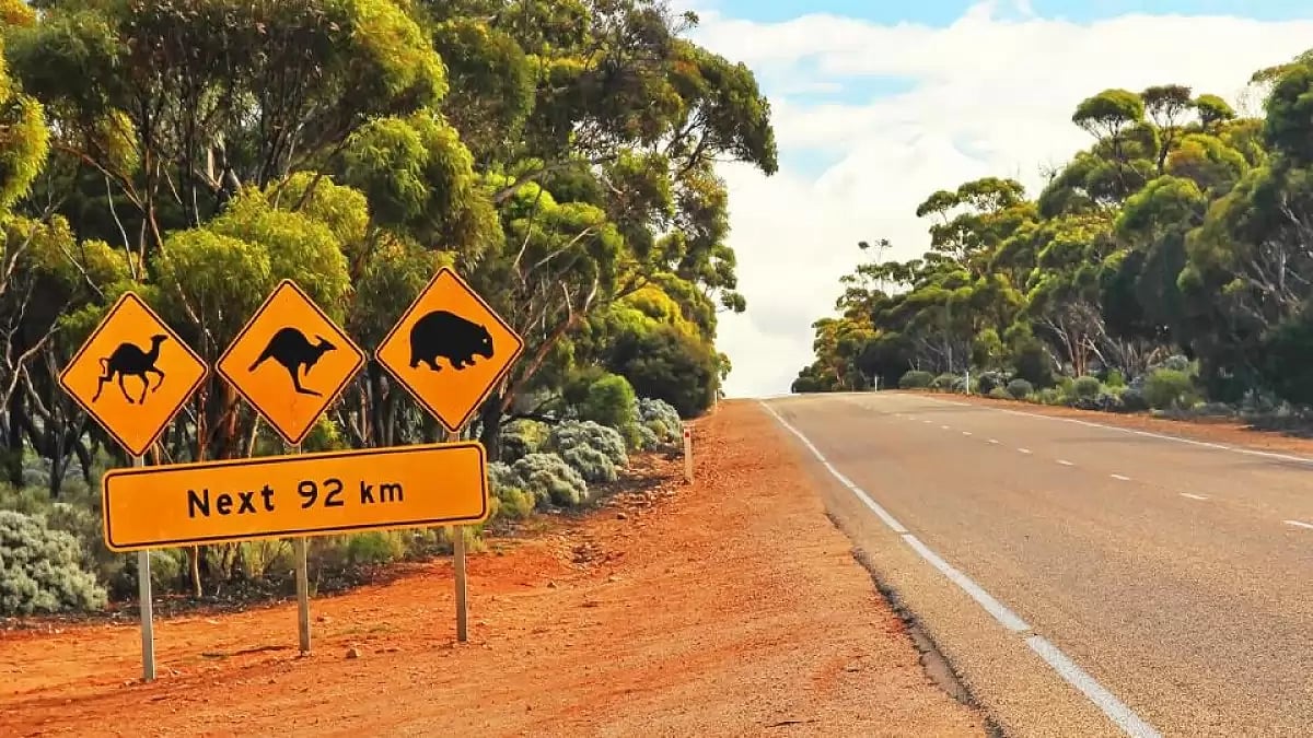 Representational Image