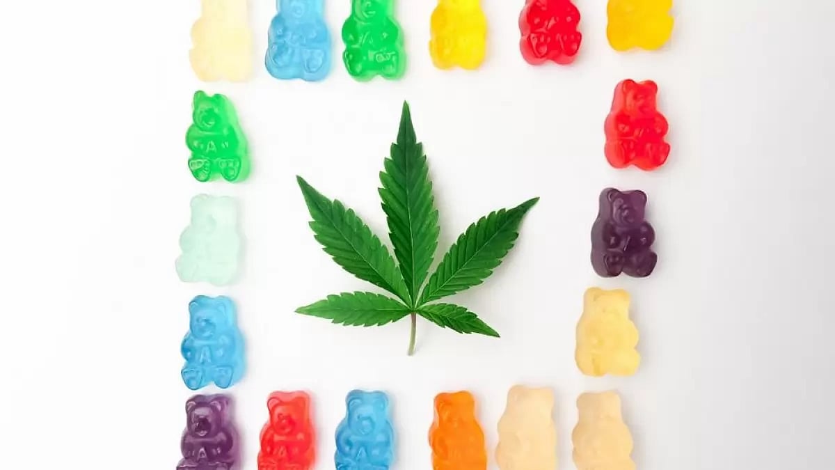 Trident CBD Gummies Reviews