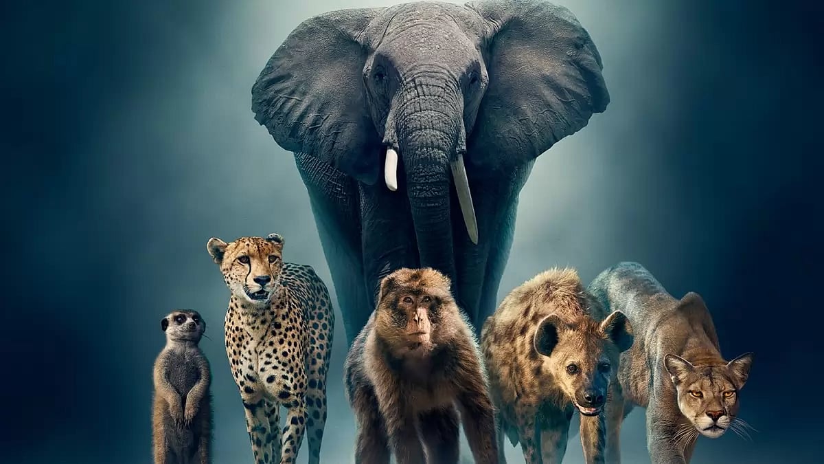 'Dynasties II' Review - null