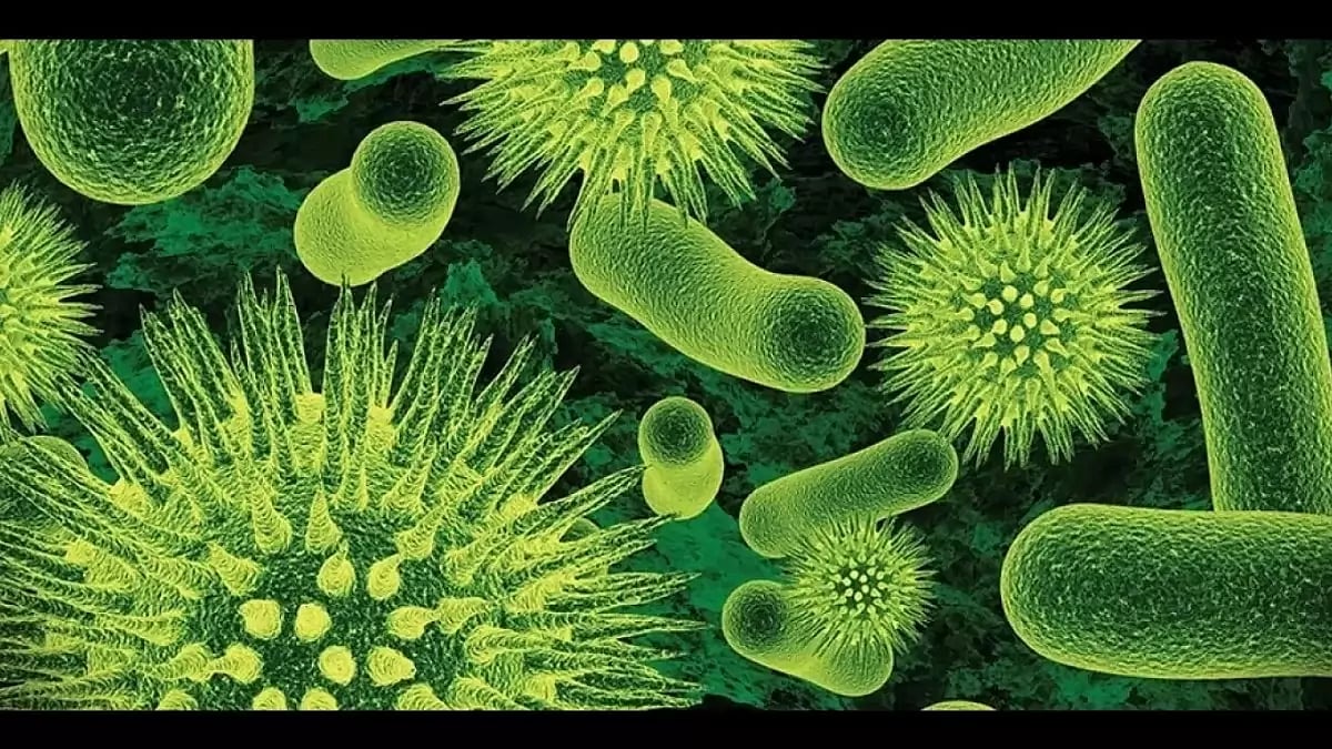 Best Probiotics For IBS