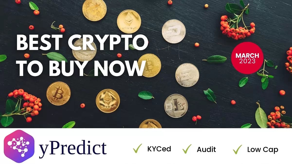 Best Crypto To Buy Right Now