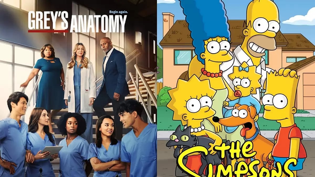 Grey's Anatomy And The Simpsons