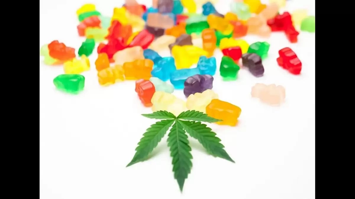 Max Ketosis Keto ACV Gummies