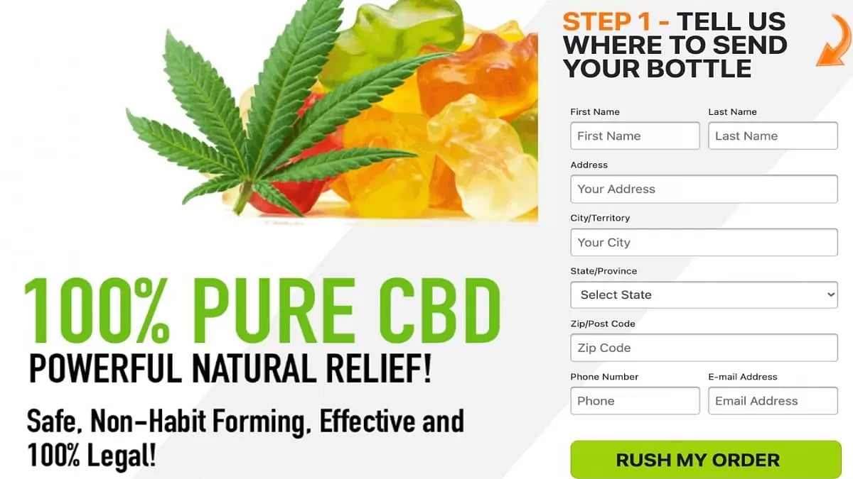 Pro CBD Hemp Gummies