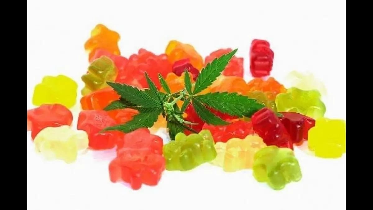 Peak Power CBD Gummies Reviews Scam OR Legit [Shark Tank Updated 2023]?  Must Watch Side Effects?