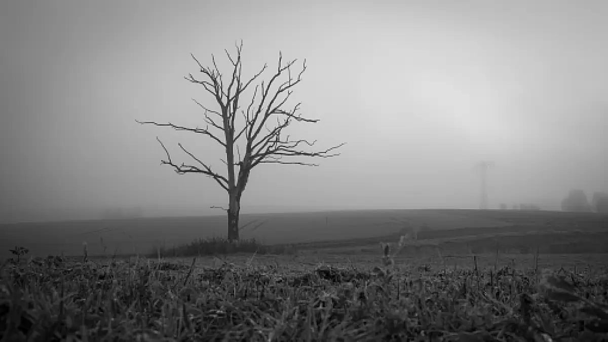 Durga Prasad Panda writes a poem for Outlook.