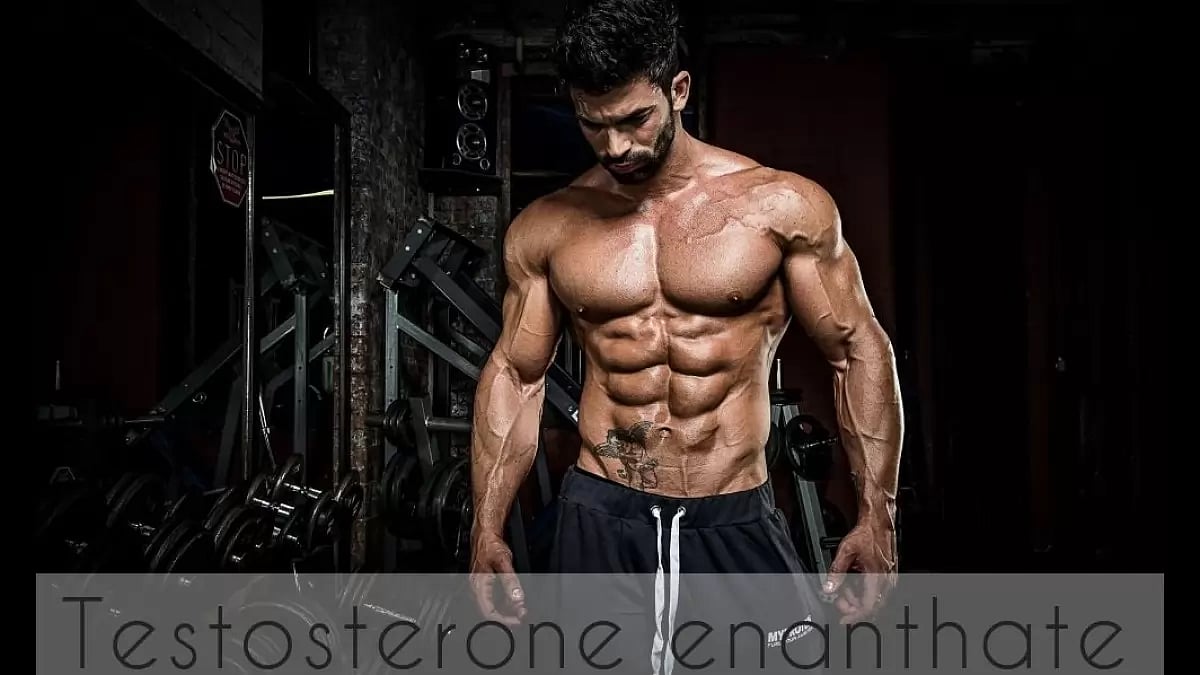 Testosterone Enanthate For Sale