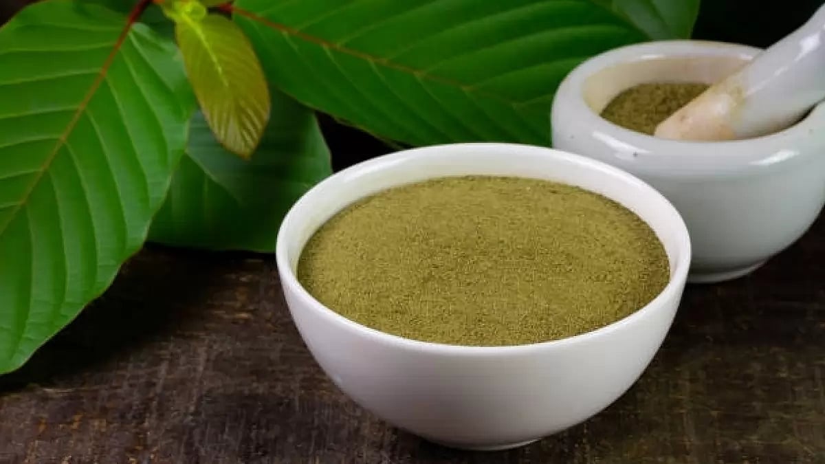 Best Kratom Powder & Strains