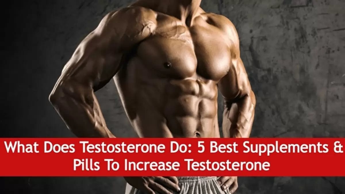 Testosterone