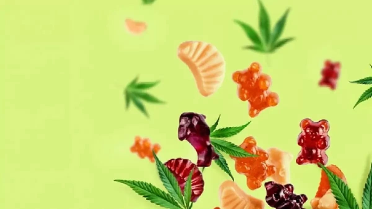 CBD Gummies