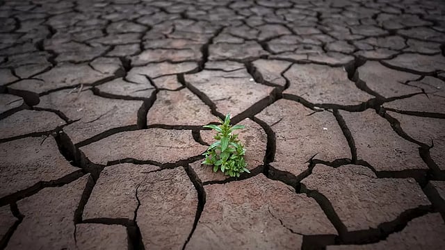 Drought Situation Worsens In Spain