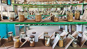 Homegrown Seed Bank: Rice varieties preserved at Khan’s Rice Diversity Centre