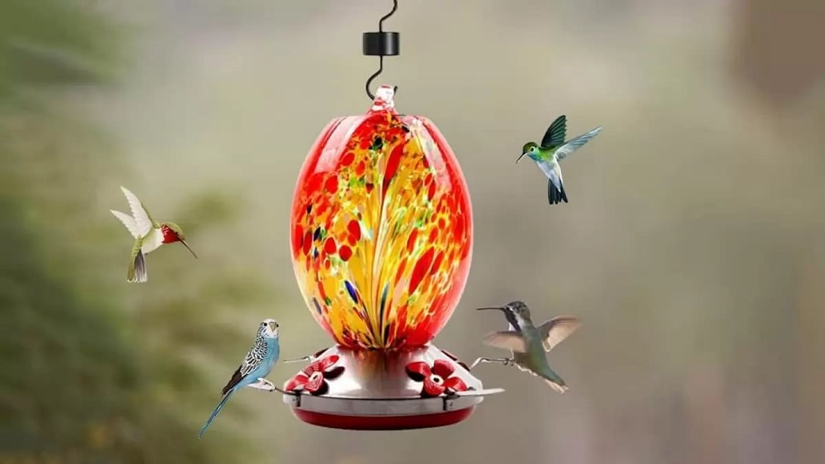 Sherem Hummingbird Feeders