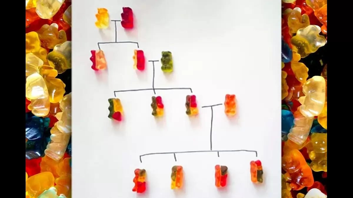 True Form Keto Gummies