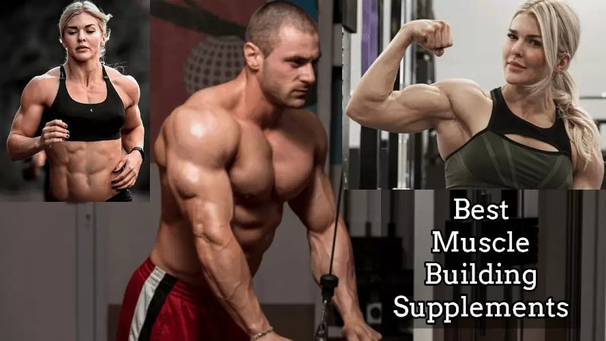 Best Muscle Building Supplements 
