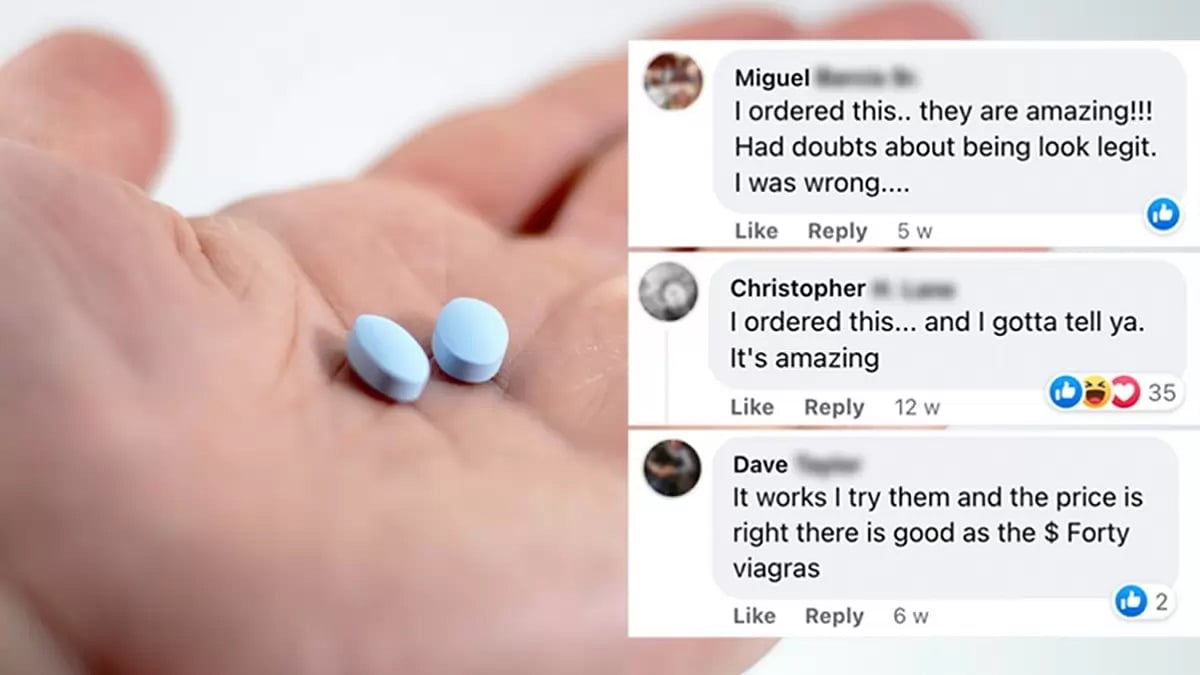 Friday Plans Reviews