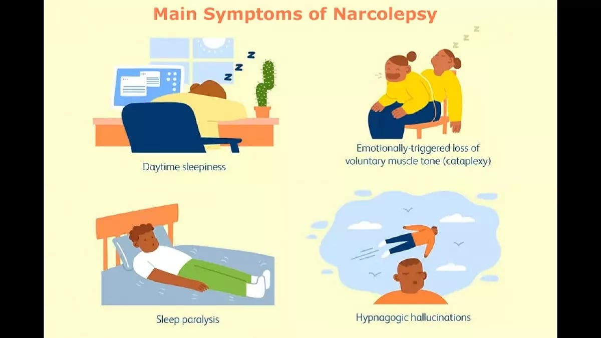 Main Symptoms of Narcolepsy