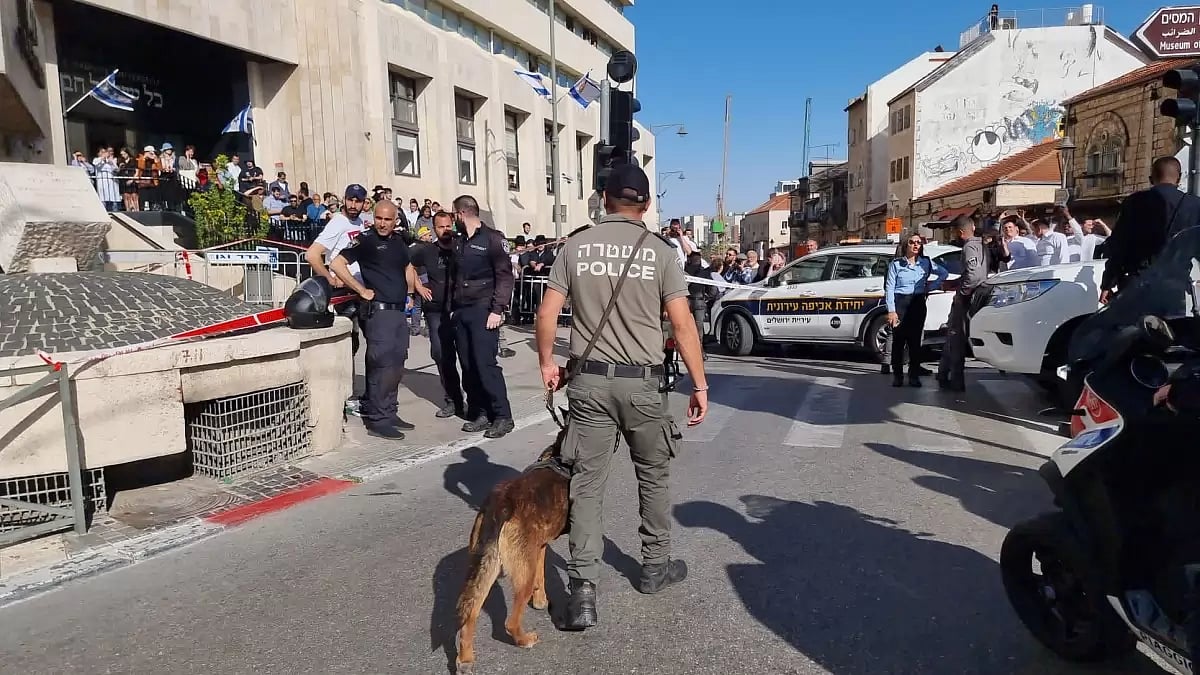 The site of Palestinian cat attack in Israel