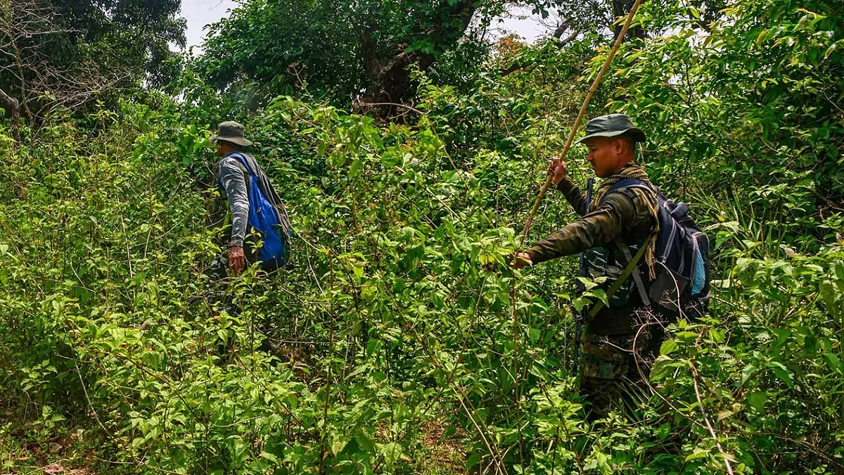 3,000 CAPF Troops To Move From Odisha To Chhattisgarh As Part Of Plan To End Naxalism