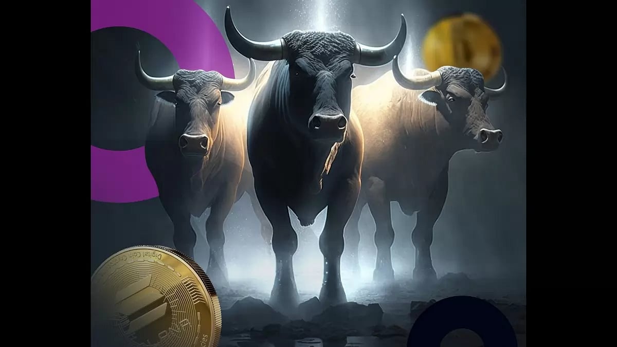 Collateral Network (COLT)