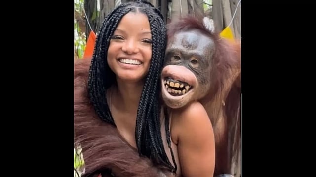 'Little Mermaid' Star Halle Bailey Slammed For Posting Photos With Animals At Zoo