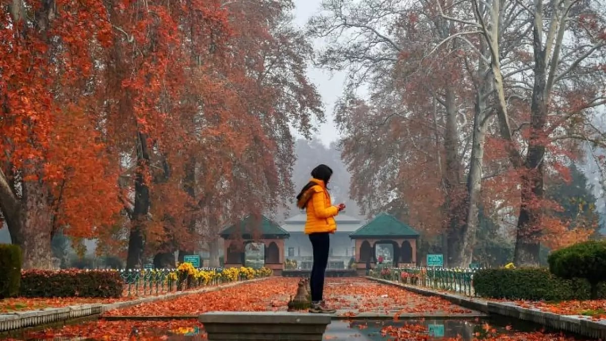 A woman takes a picture amidst groove of Chinar's in Srinagar's Mughal Garden.(File photo)
