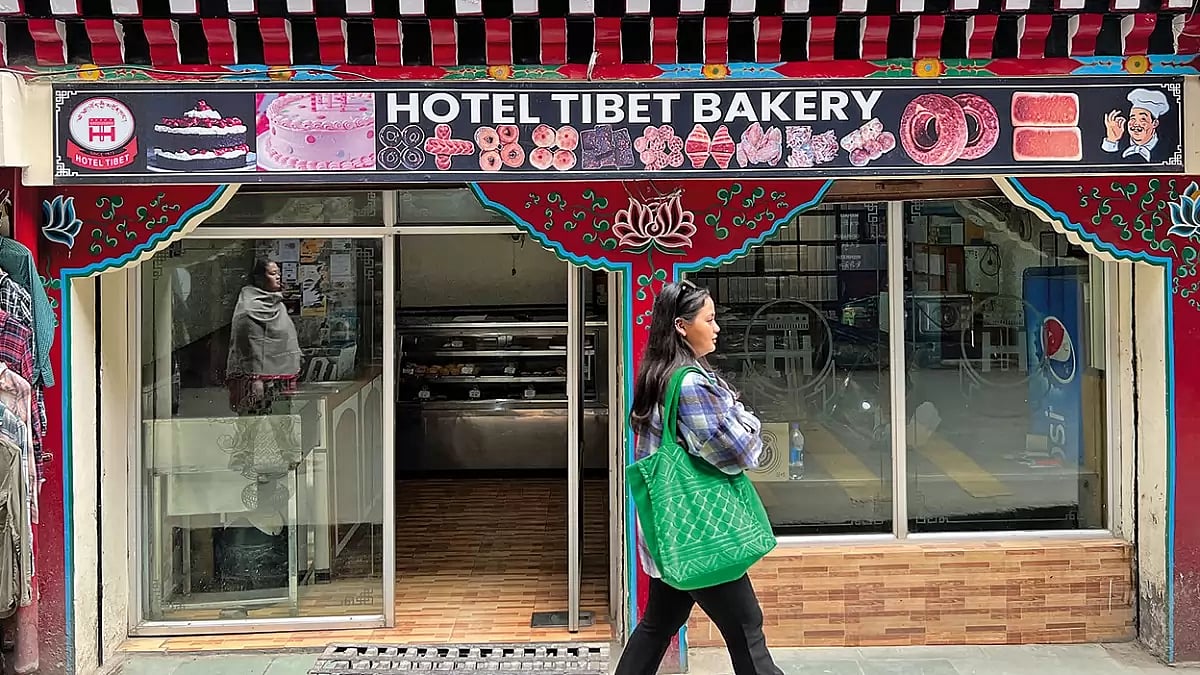 A Cosy Eatery: Established around the 70s in the picturesque Himalayan hamlet of Mcleodganj, this eatery still serves the juiciest mutton momos and delectable thukpa