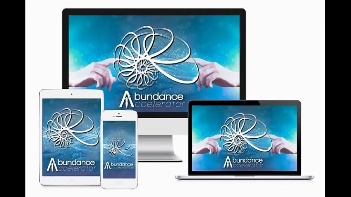 Abundance Accelerator