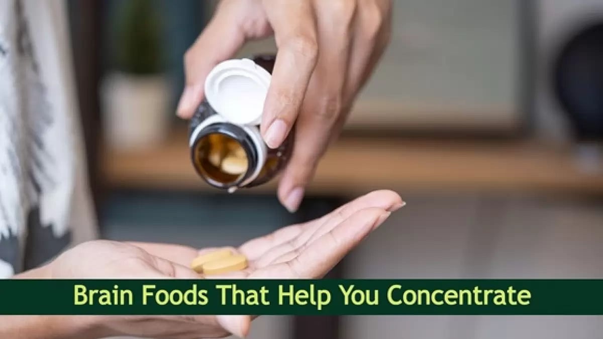 Brain Foods That Help You Concentrate