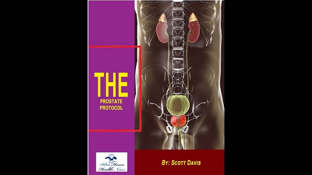The Prostate Protocol 