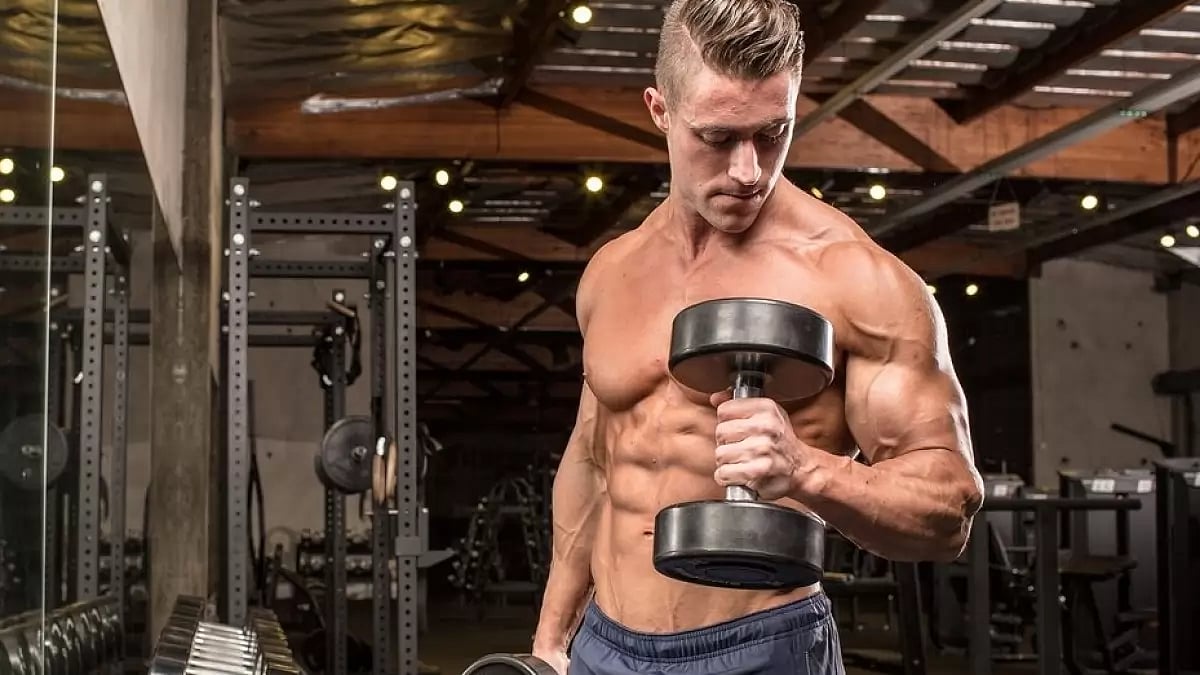 Vascularity Supplements 