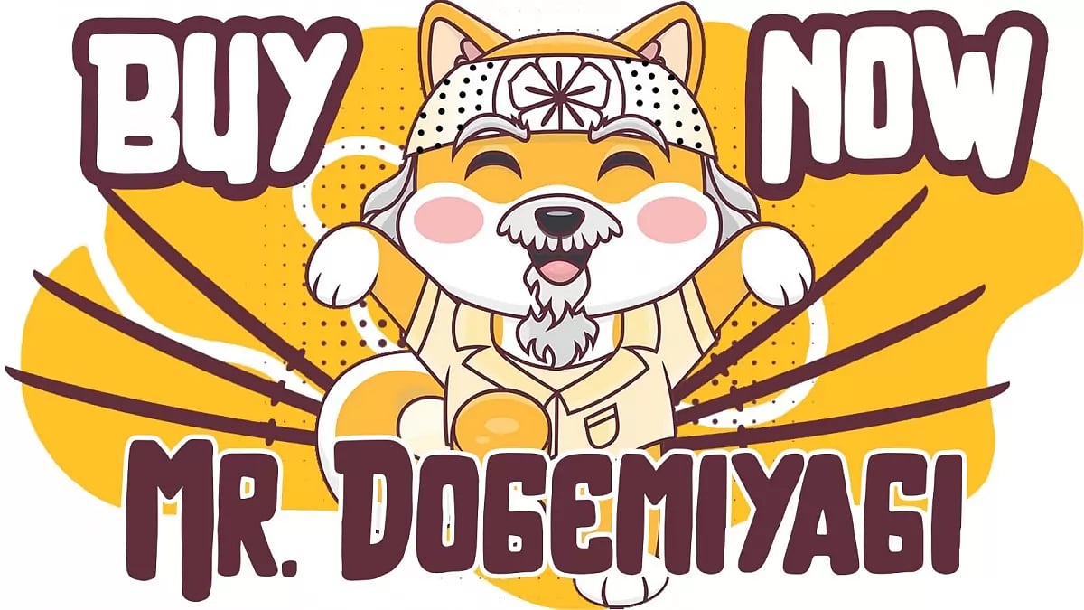 Mr.DogeMiyagi