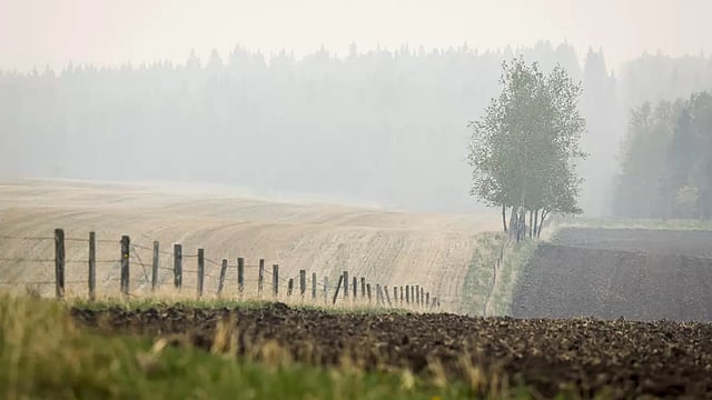 Alberta Wildfire Smoke Covers Western Canada, Damages Air Quality