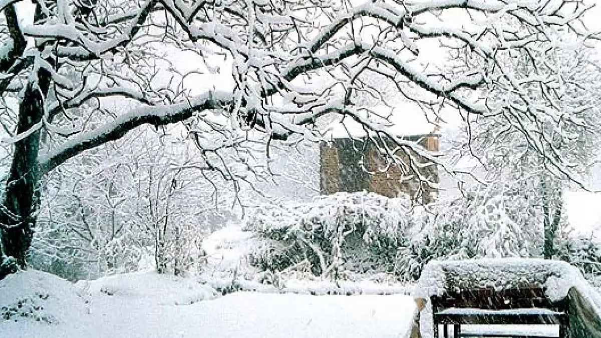 Wildlife photographers visit Uttarakhand's Abbot Mount