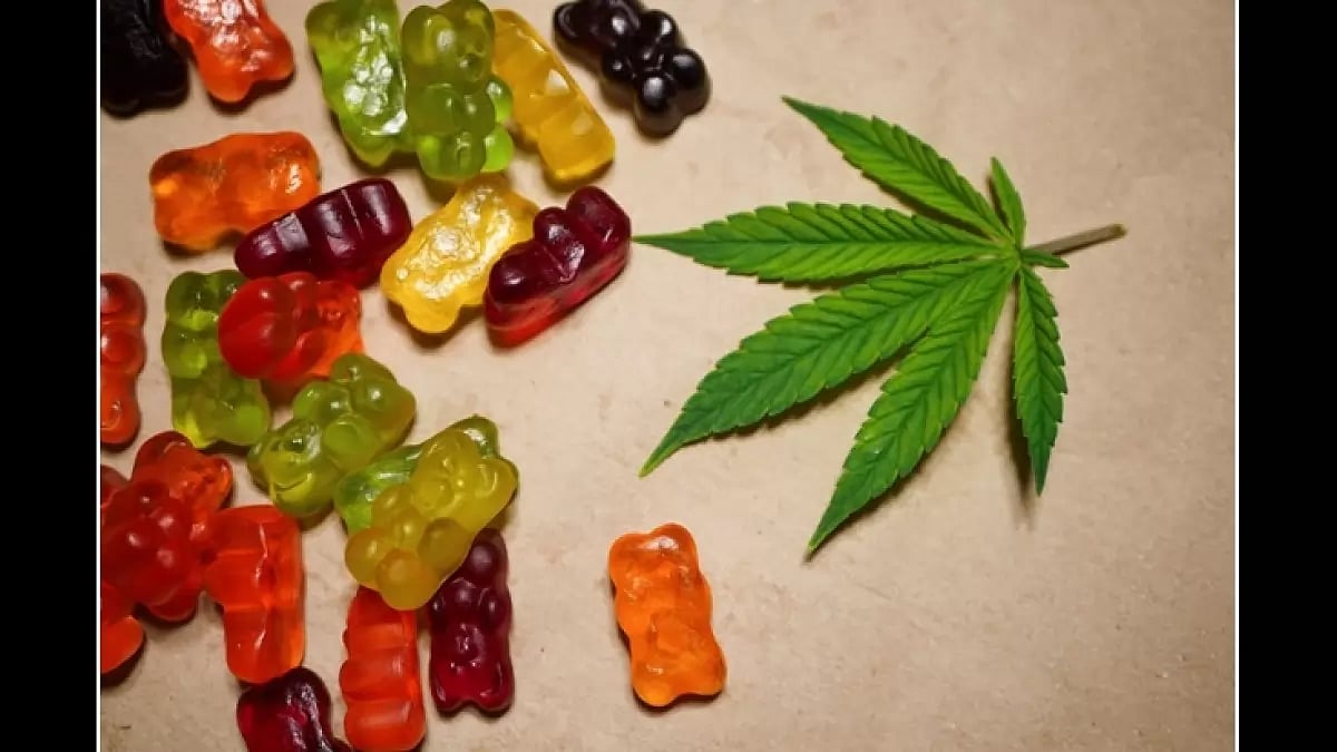 Regen CBD Gummies 