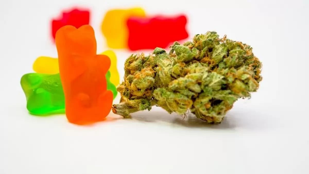 Regen CBD Gummies Review