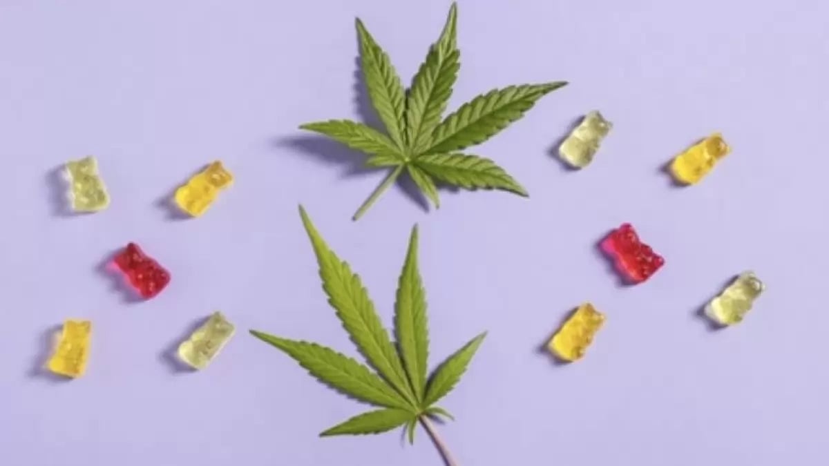 Impact Garden CBD Gummies 