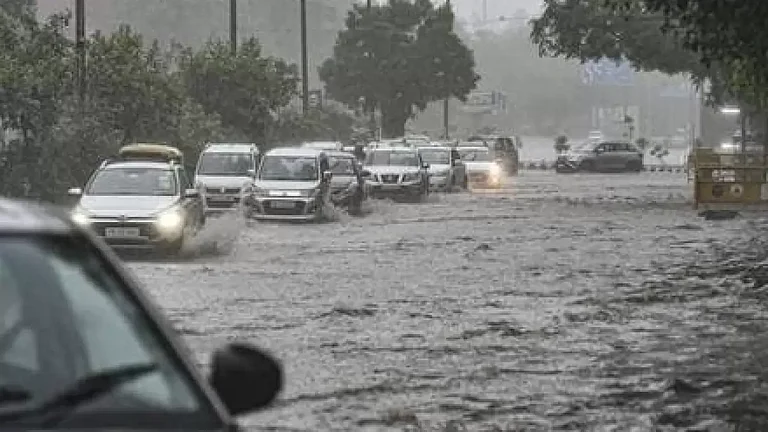 In a week, eight people in Marathwada die in rain-related incidents.
- null