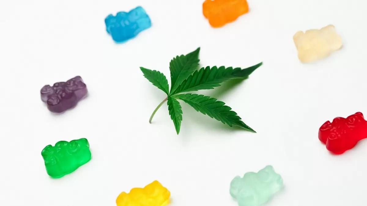 Bioscience CBD Gummies