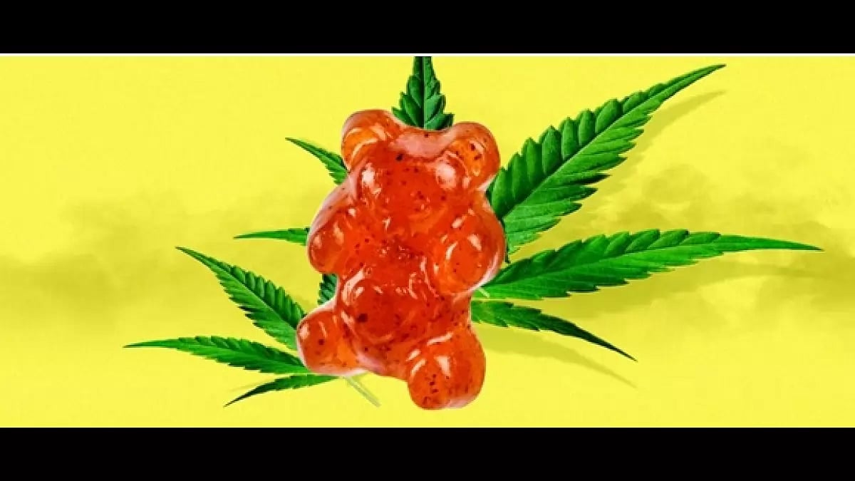 Pro Players CBD Gummies 