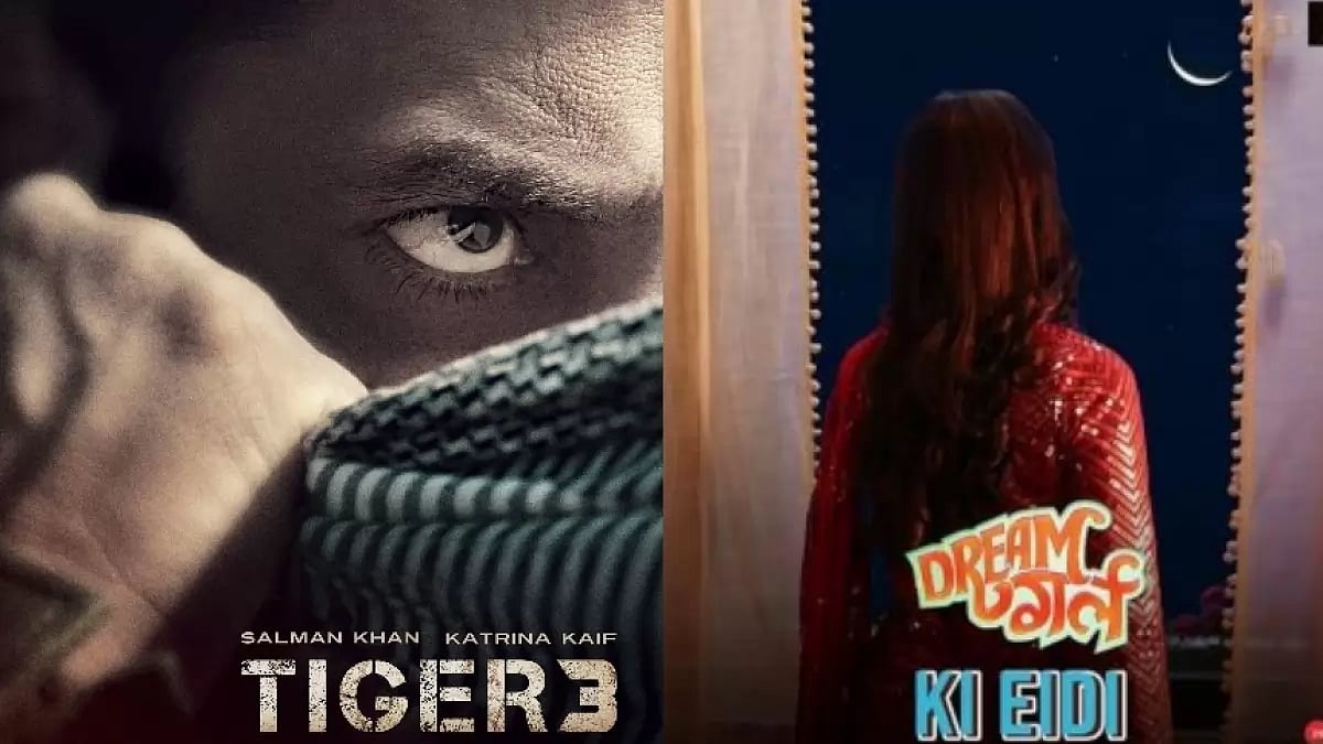 Tiger 3, Dream Girl 2