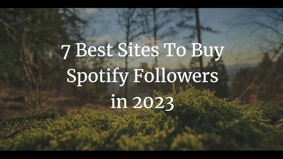 Buy Spotify Followers