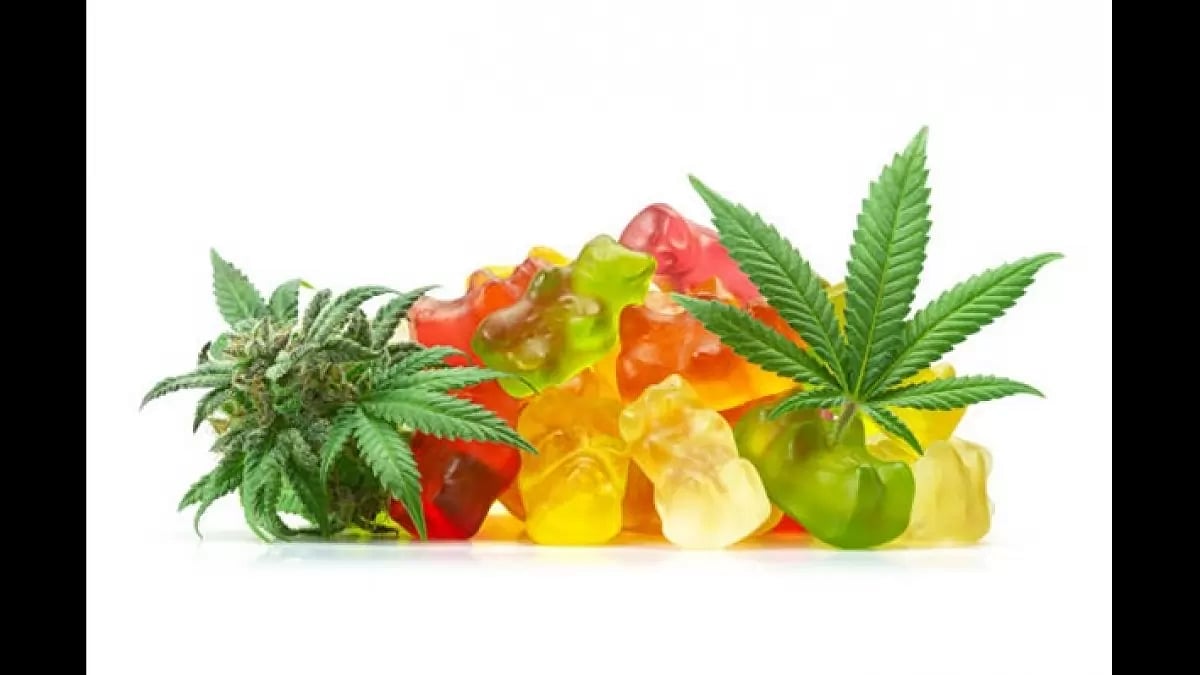 Alpha Bio CBD Gummies