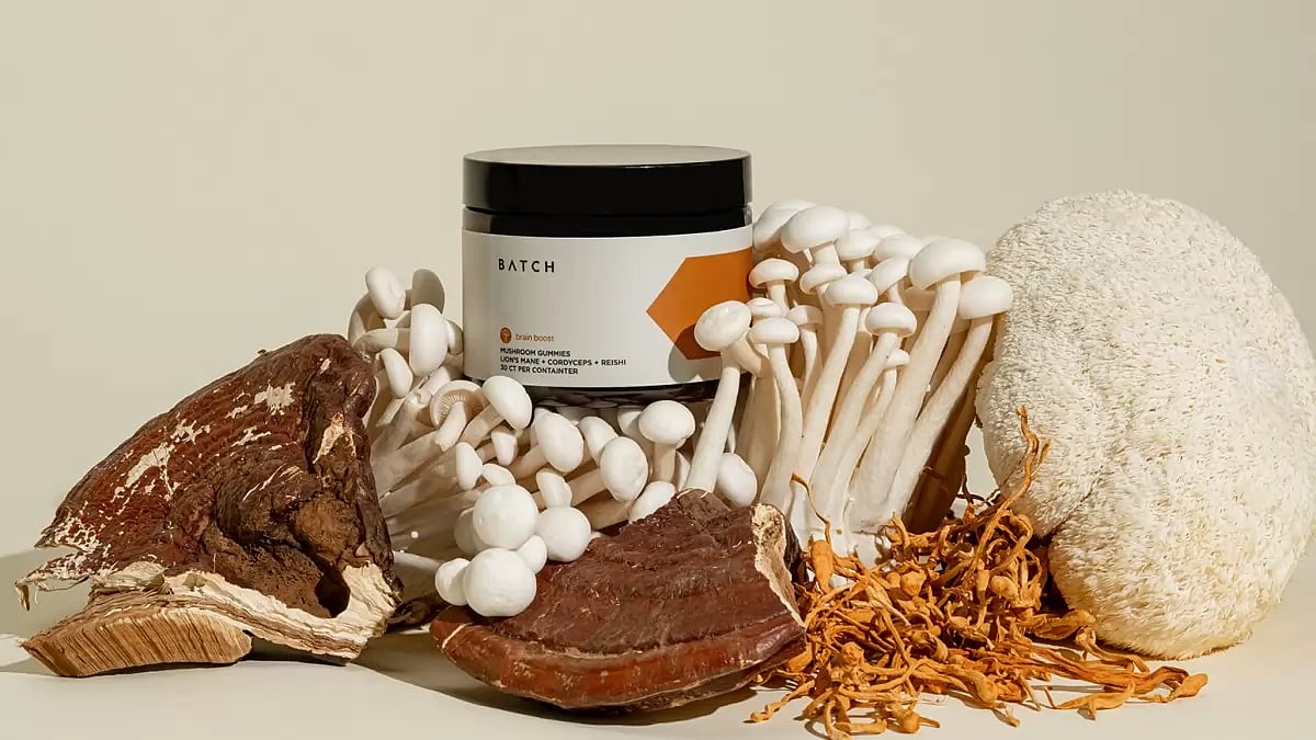  Best Mushroom Gummies