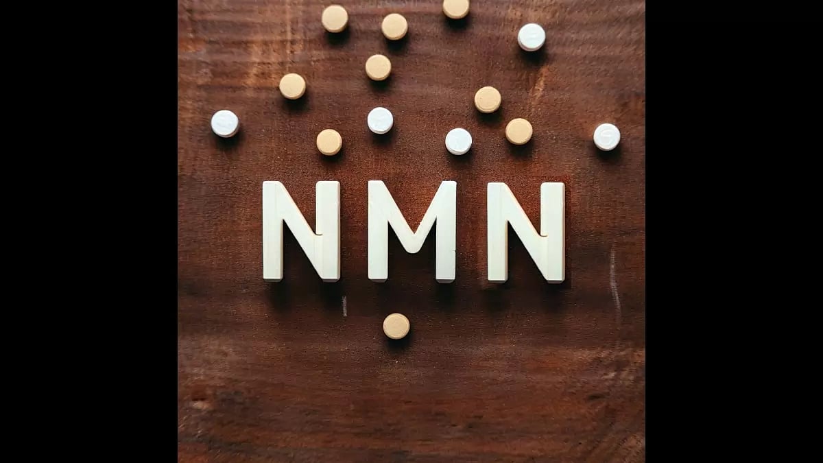 Best NMN Supplement Brand