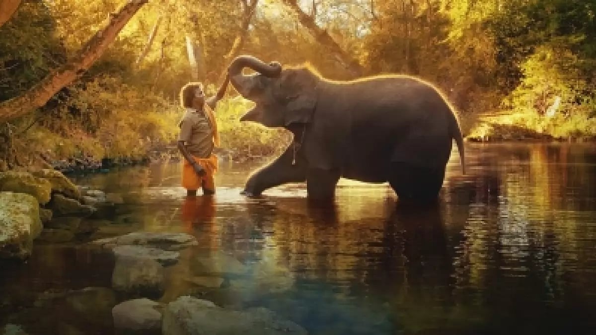 The Elephant Whisperers 