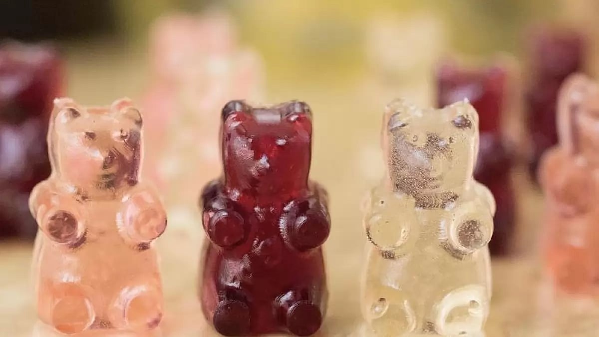 Best CBD Gummies For Pain 